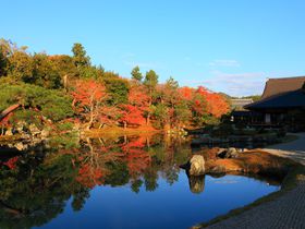 朝一番で訪問すべし！紅葉庭園が美しい京都嵐山の「天龍寺」