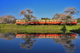 tFڂȏa̐E֏oisIucvBeX|bg5I̋LTlC