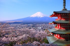 �C�O�̋��ȏ��ɂ��f�ڂ��ꂽ!?���炭�R���u�V�q��Ԑ_�Ёv�̋L���T���l�C��