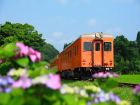 梅雨時の昭和レトロなローカル線へ！千葉「いすみ鉄道」撮影地４選