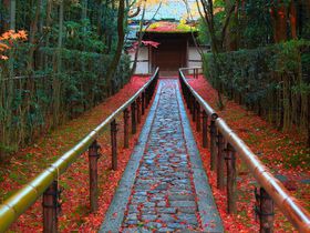 必見！無料で前庭の紅葉を楽しめる京都「大徳寺」の塔頭４選
