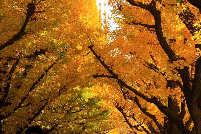 u_{Ovւ͒nS̊OOw𗘗p悤I