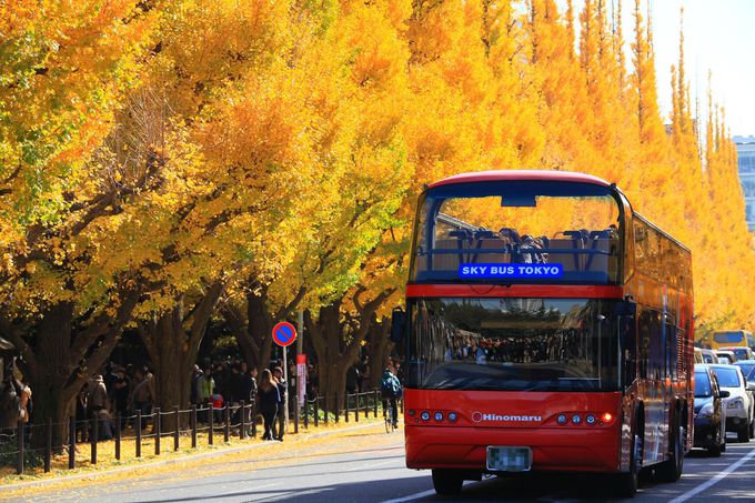 słW[ȊόX|bgĊόoXKI