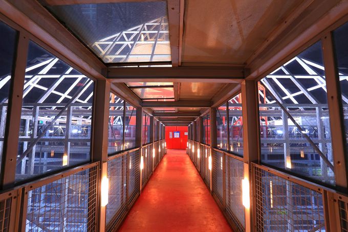 ŏKɂW]䂩瓌p̖i𒭂߂I