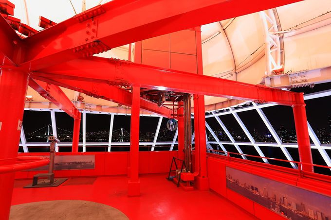 ŏKɂW]䂩瓌p̖i𒭂߂I