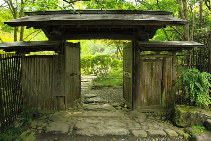 宮ノ平駅の南側に位置する綺麗な庭園「日向和田臨川庭園」