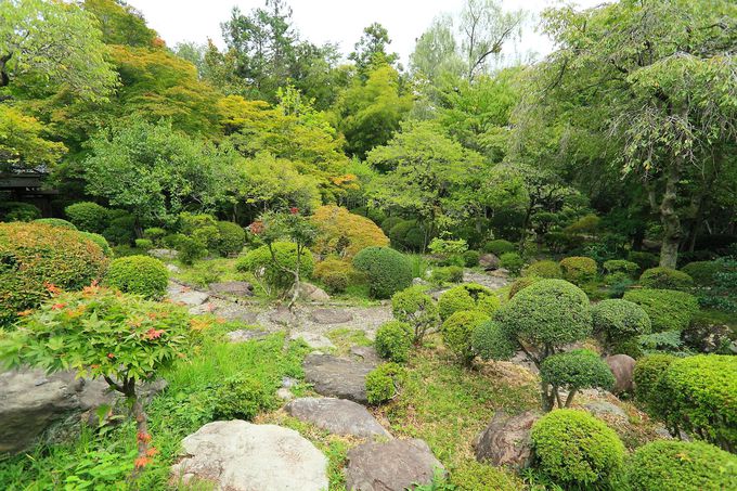 宮ノ平駅の南側に位置する綺麗な庭園「日向和田臨川庭園」