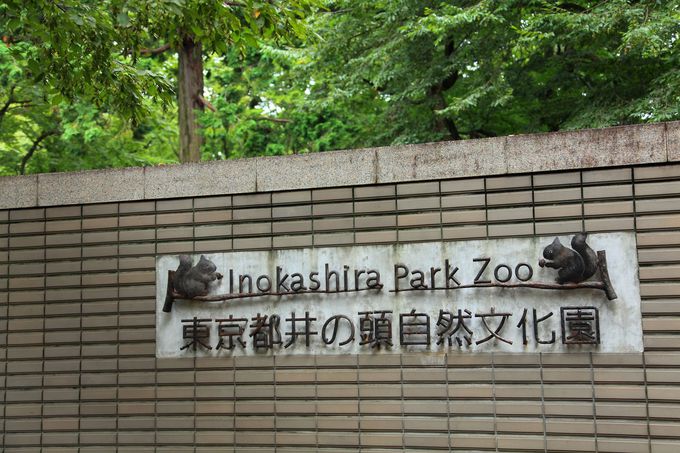 穴場の動物園でゆったり癒やしタイム 東京 井の頭自然文化園 東京都 トラベルjp 旅行ガイド