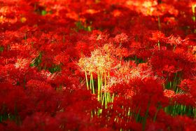 gO~zIɁIʁuВcv֎썹؎Be|CgSI̋LTlC