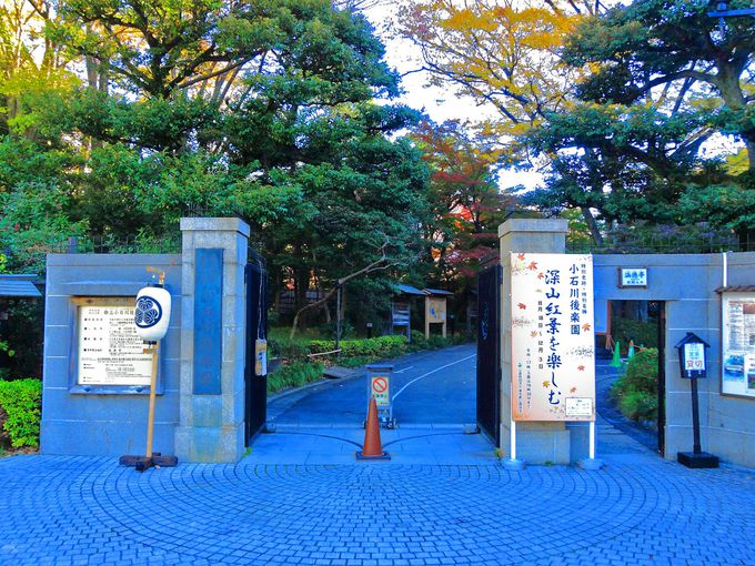 uΐyvւ͓sc]ː̔ѓcw֗I