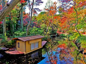 芸術の秋は美しい作品と紅葉庭園の観賞！東京「根津美術館」