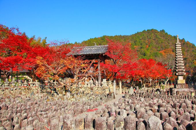 見所は紅葉だけでない！竹林の先は何処へ？京都「化野念仏寺」 | 京都