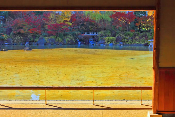 �������猩��r���ӂ���i�I