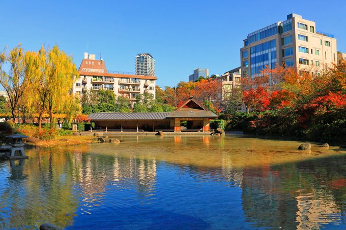 �������猩��r���ӂ���i�I