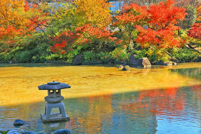 ���ێ��ӂ�l�X�ȃA���O���ŁI