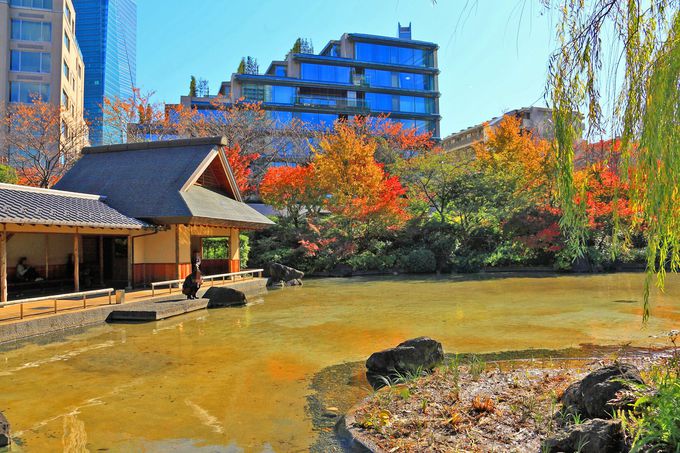 ���ێ��ӂ�l�X�ȃA���O���ŁI