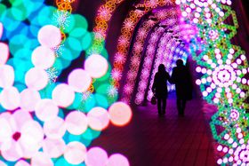 h[VeBNX}XC~̎Be|CgƃeNjbN̋LTlC