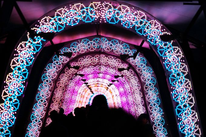 N[AGA̓쑤ɐ݂ꂽ̃gl͕KI