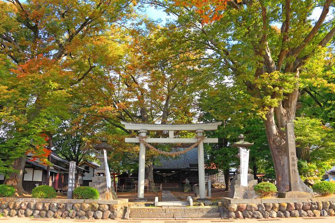 「海野宿」の東端に位置する「白鳥神社」も必訪！