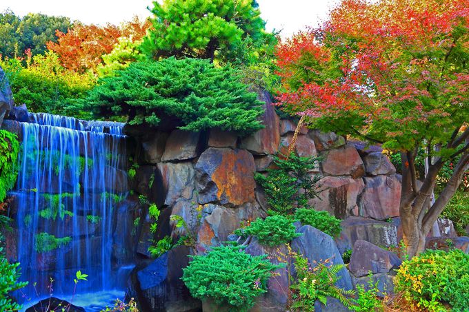 中華風の庭園に真っ赤な紅葉は必見！川崎の大師公園「瀋秀園」 | 神奈川県 | トラベルjp 旅行ガイド