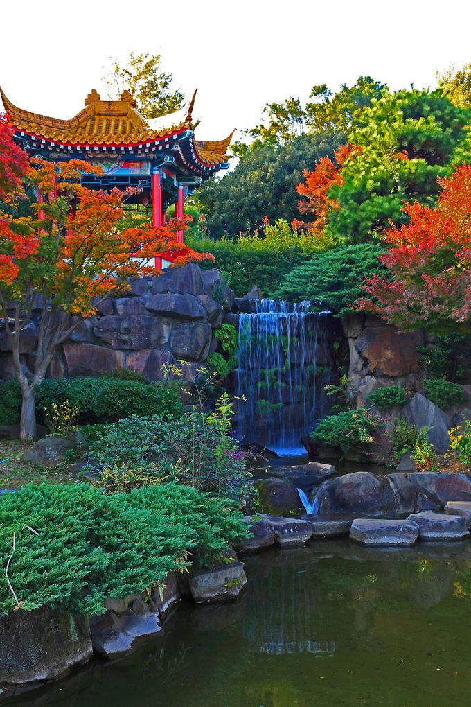 中華風の庭園に真っ赤な紅葉は必見！川崎の大師公園「瀋秀園」 | 神奈川県 | トラベルjp 旅行ガイド