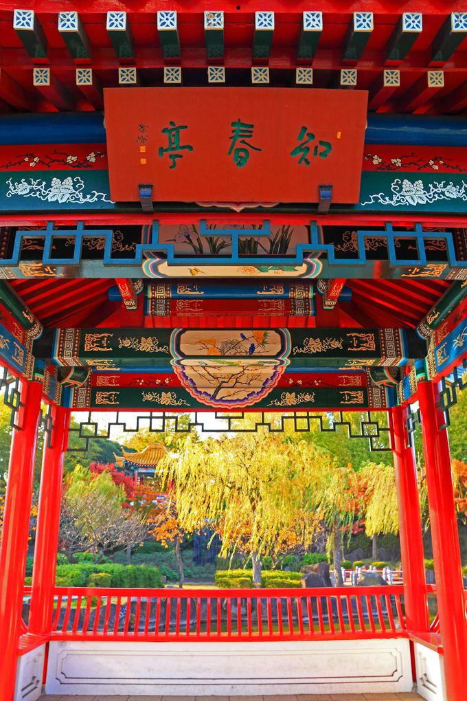 中華風の庭園に真っ赤な紅葉は必見！川崎の大師公園「瀋秀園」 | 神奈川県 | トラベルjp 旅行ガイド