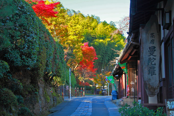 ̏dv`IQۑnɑI肳Ău㒹{v