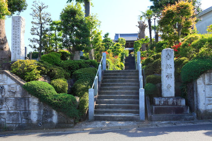 丘陵部の住宅街に五重塔 インパクトが凄い川崎 香林寺 神奈川県 トラベルjp 旅行ガイド