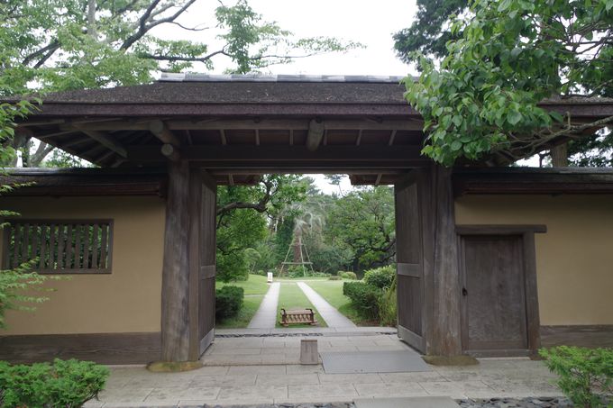 吉田茂の愛した日本庭園とバラ園
