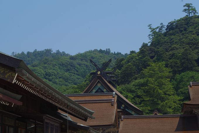 あらゆる縁を司る大国主大神が御祭神 出雲大社 で縁結び祈願 島根県 Lineトラベルjp 旅行ガイド