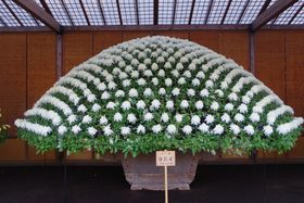 �[�܂�H�ɐV�h�䉑�ōc���䂩��́u�e�Ԓd�W�v���y���ށI�̋L���T���l�C��