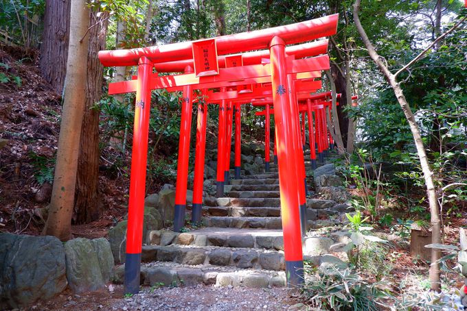 ヒカリモ輝く黄金の泉 神奈川県 秦野 白笹稲荷神社 で金運アップ 神奈川県 トラベルjp 旅行ガイド