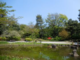 �s�v�c�ȓN�w�̐��E�Ƀg���b�v�I�H�ΖL���ȓ�������E�N�w�������̋L���T���l�C��