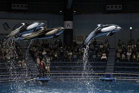 ���`���Ăɍs�������A�����������ߍx�̃N�[���X�|�b�g�S�I�̋L���T���l�C��