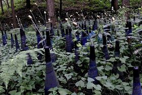 ���|�̗��E���u�}�ԁv�ŖK���ׂ���l�̃A�[�g�X�|�b�g5�I�̋L���T���l�C��