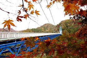 ��錧�̂������ߍg�t�X�|�b�g10�I ���݂��܂�E���C�g�A�b�v���I�y2024�z�̋L���T���l�C��