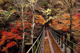 ���͓x�����L���O�ŉ��ʁu��錧�v�́A���͂��ӂ��g�t�X�|�b�g�S�I�̋L���T���l�C��