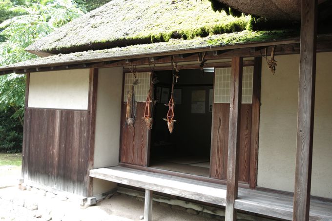 VǩÓs여όɍœK̏hn