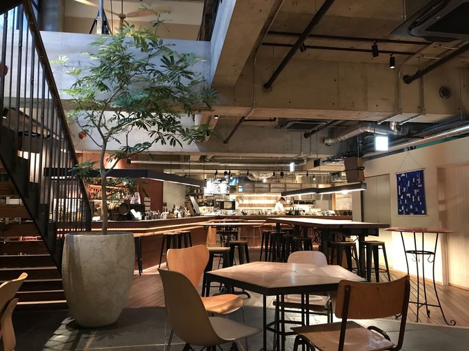 Sn̂EWŁA[̃ubNt@[Xg