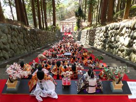 列車からも見える素盞嗚神社の段飾り！伊豆稲取の「雛のつるし飾りまつり」で春を満喫