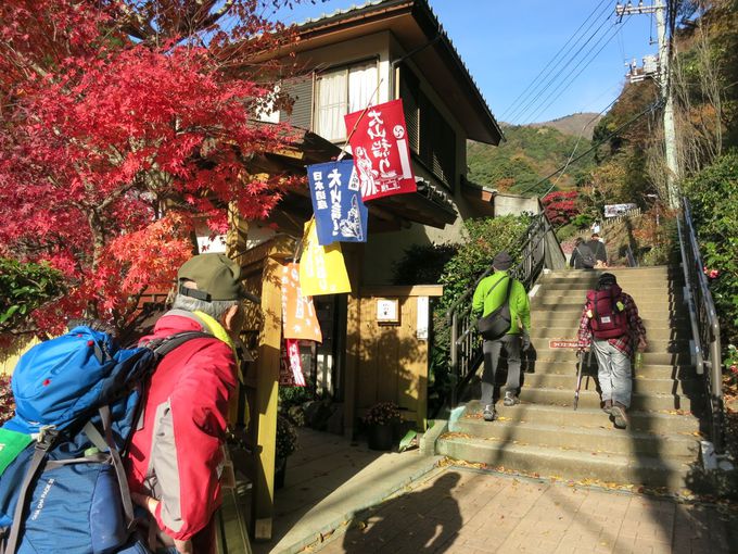 真っ赤に染まる山が見事 この秋行きたい神奈川県伊勢原の 大山詣り 神奈川県 Lineトラベルjp 旅行ガイド