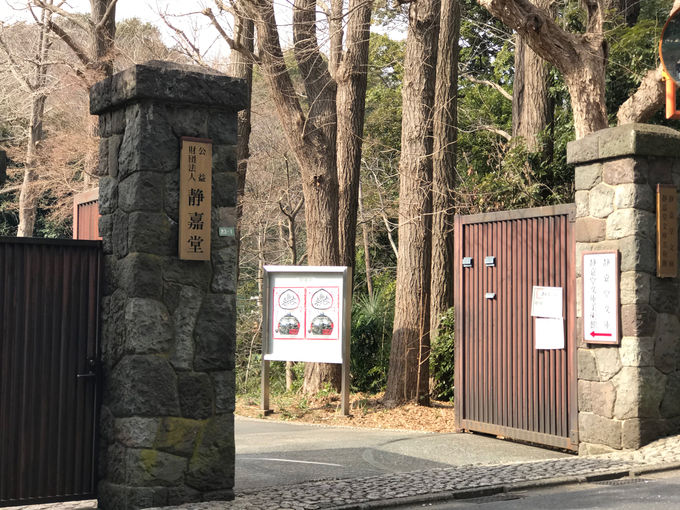 武蔵野の風情残る森を歩き静嘉堂文庫美術館へ