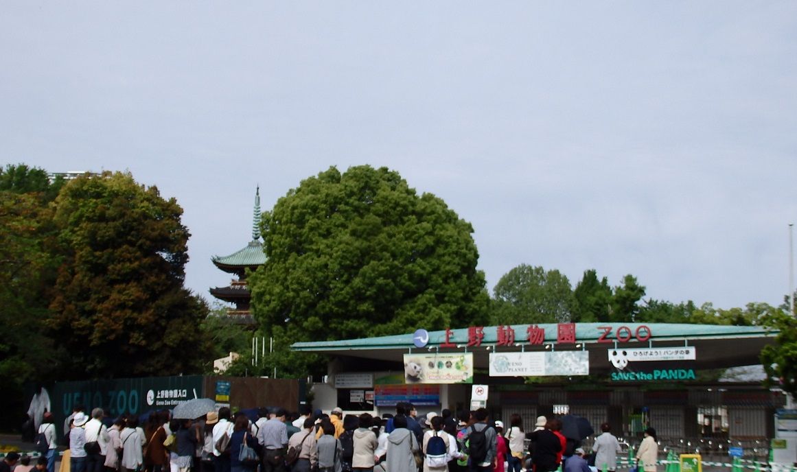 上野動物園はアクセス便利な都会型動物園