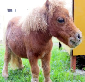 ���������Əo���I�M�B�X�G�g�V�q��ő̊����������Ԃ̋L���T���l�C��