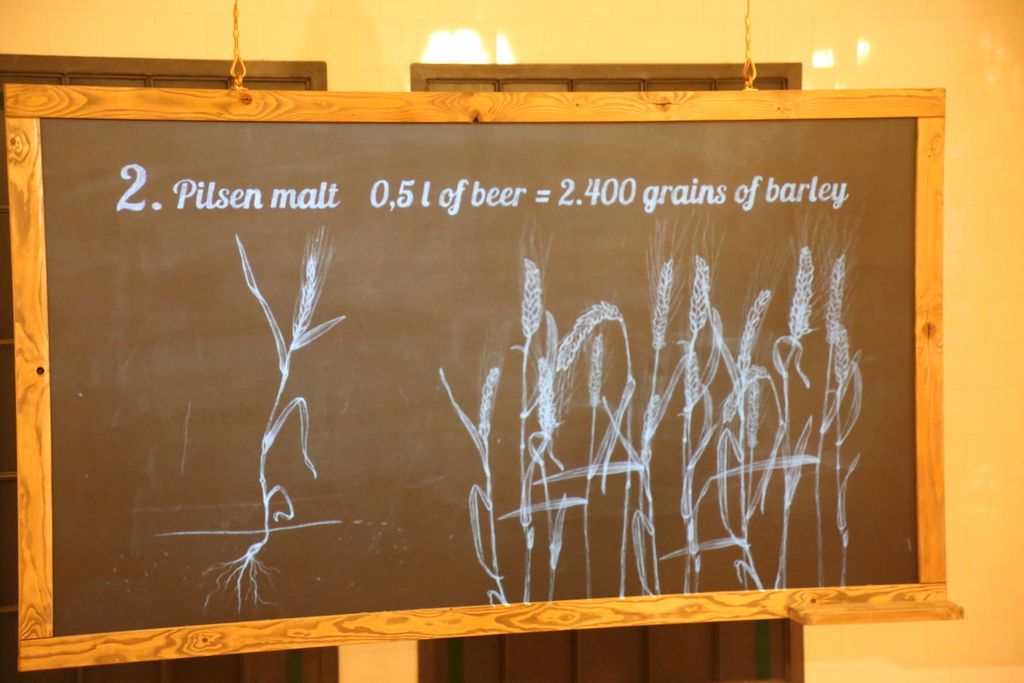 ビールの原料、醸造過程が分かりやすく展示