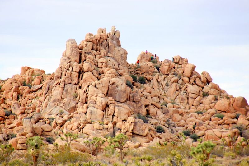 �ςݖ؂̂悤�Ȋ��Q