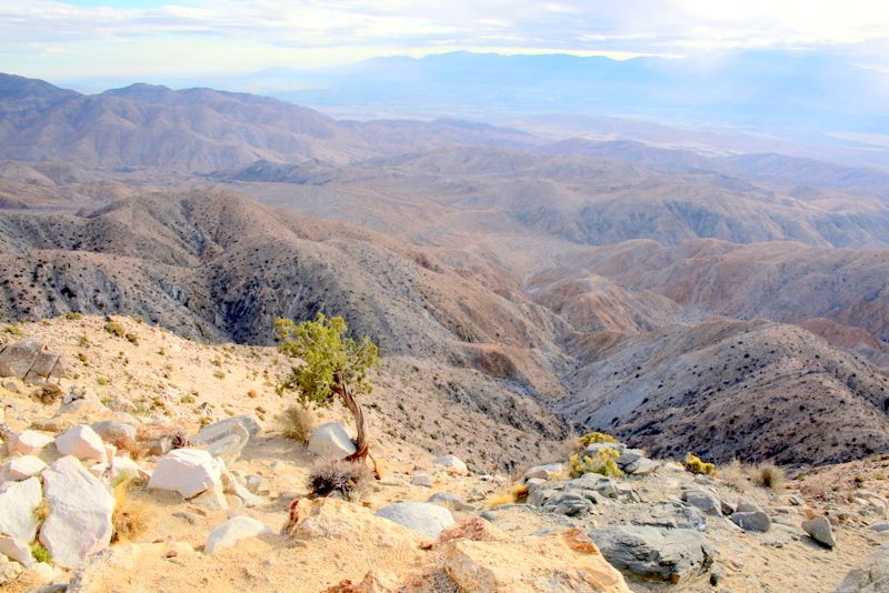 �h���C�u�̒��߂�����͓W�]���