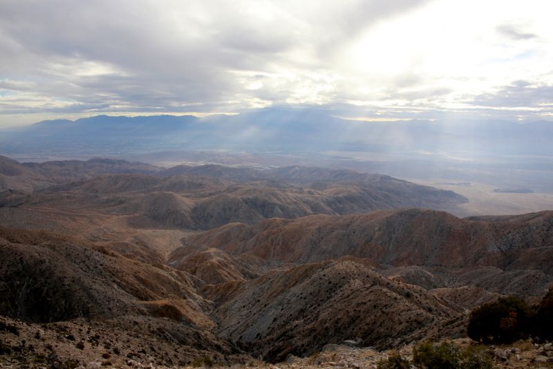 �h���C�u�̒��߂�����͓W�]���