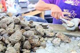 �j���[�I�[�����Y�u�t�����`�}�[�P�b�g�v��200�N�����S�čŌÂ̎s��̋L���T���l�C��