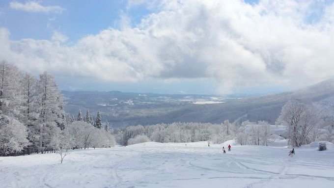 どこも滑り応えバッチリ！新潟「妙高杉ノ原スキー場」